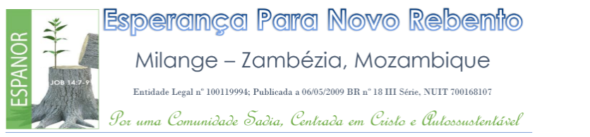 Sem título Sem título